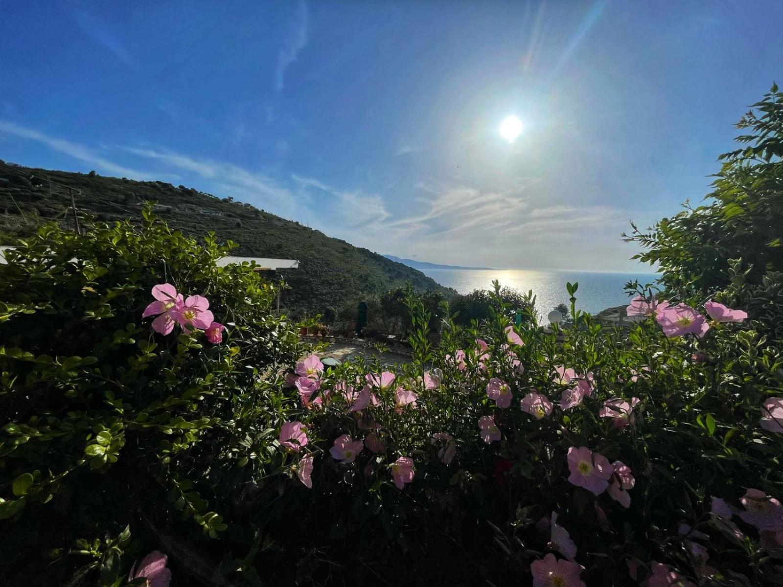Vila Paza Sarandë Buitenkant foto