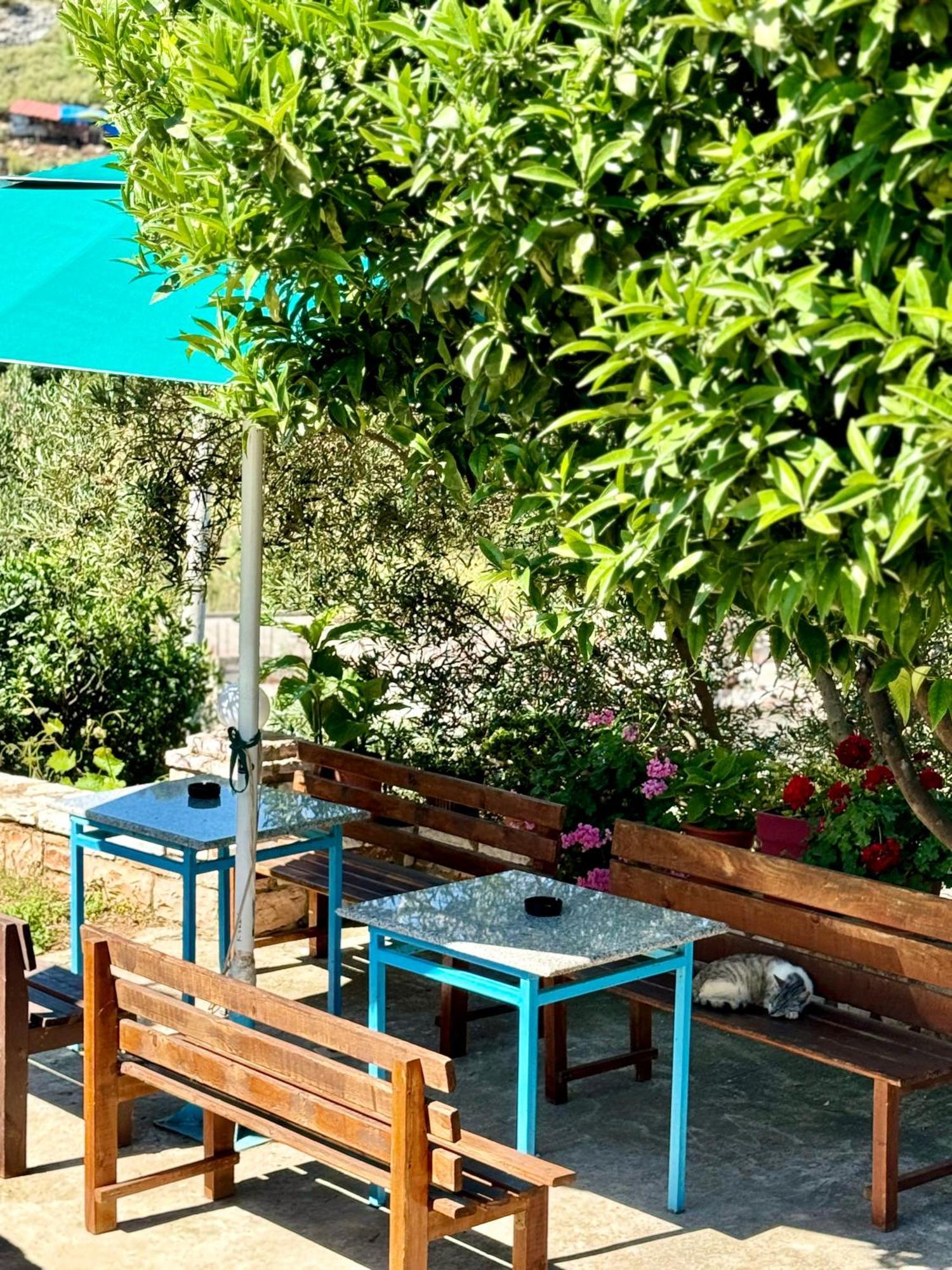 Vila Paza Sarandë Buitenkant foto